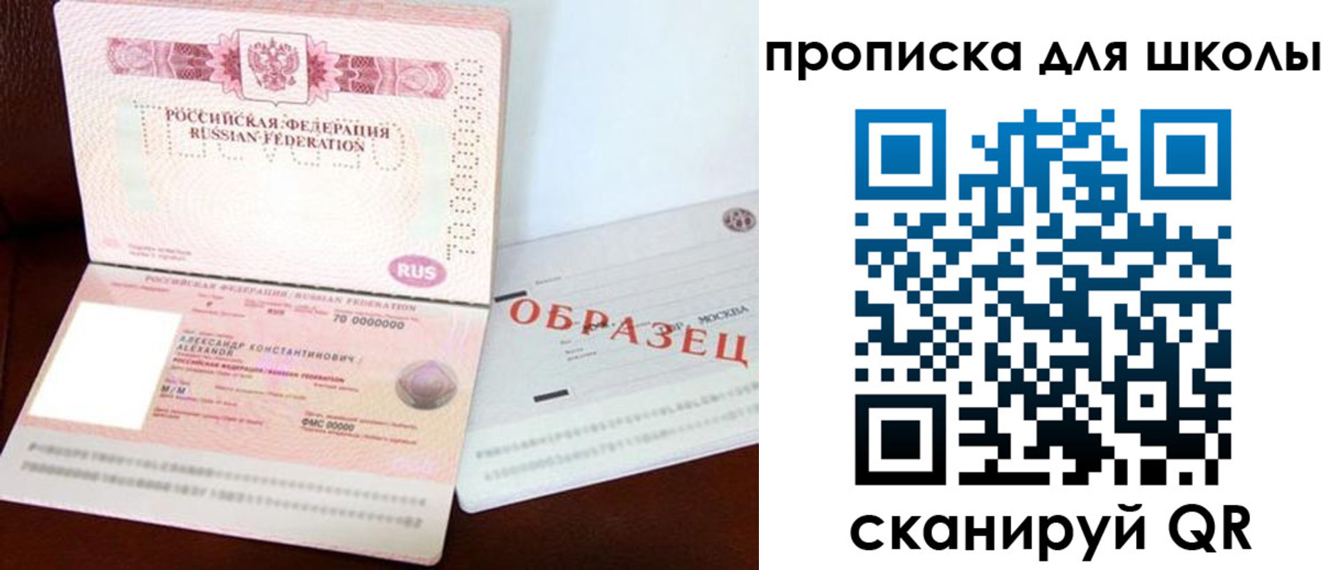 прописка для школы в Тольятти